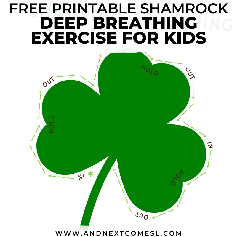 Detail Shamrock Pic Nomer 37