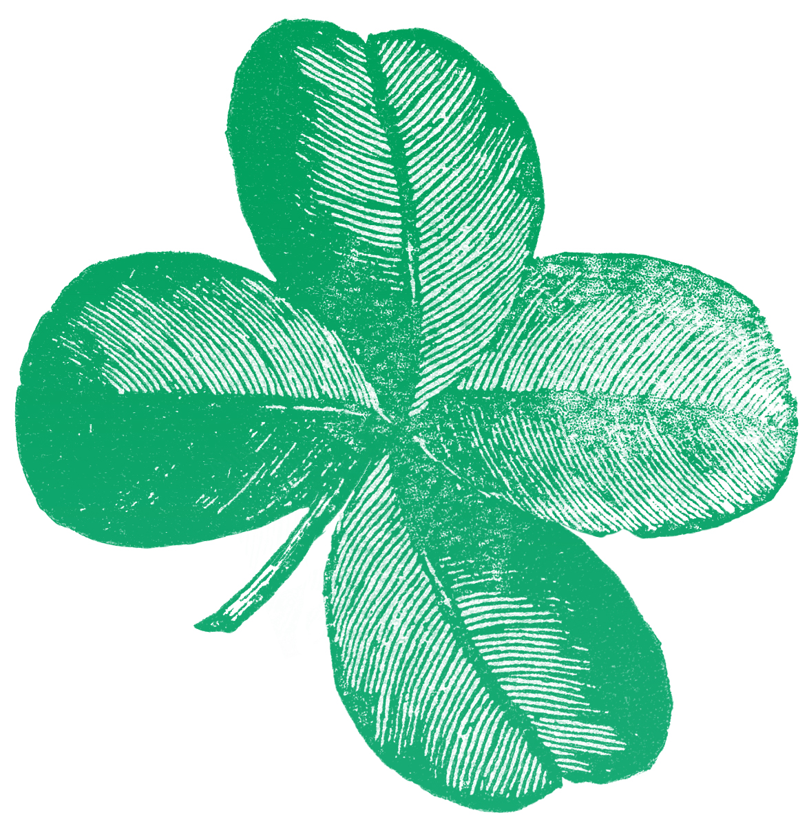 Detail Shamrock Pic Nomer 38