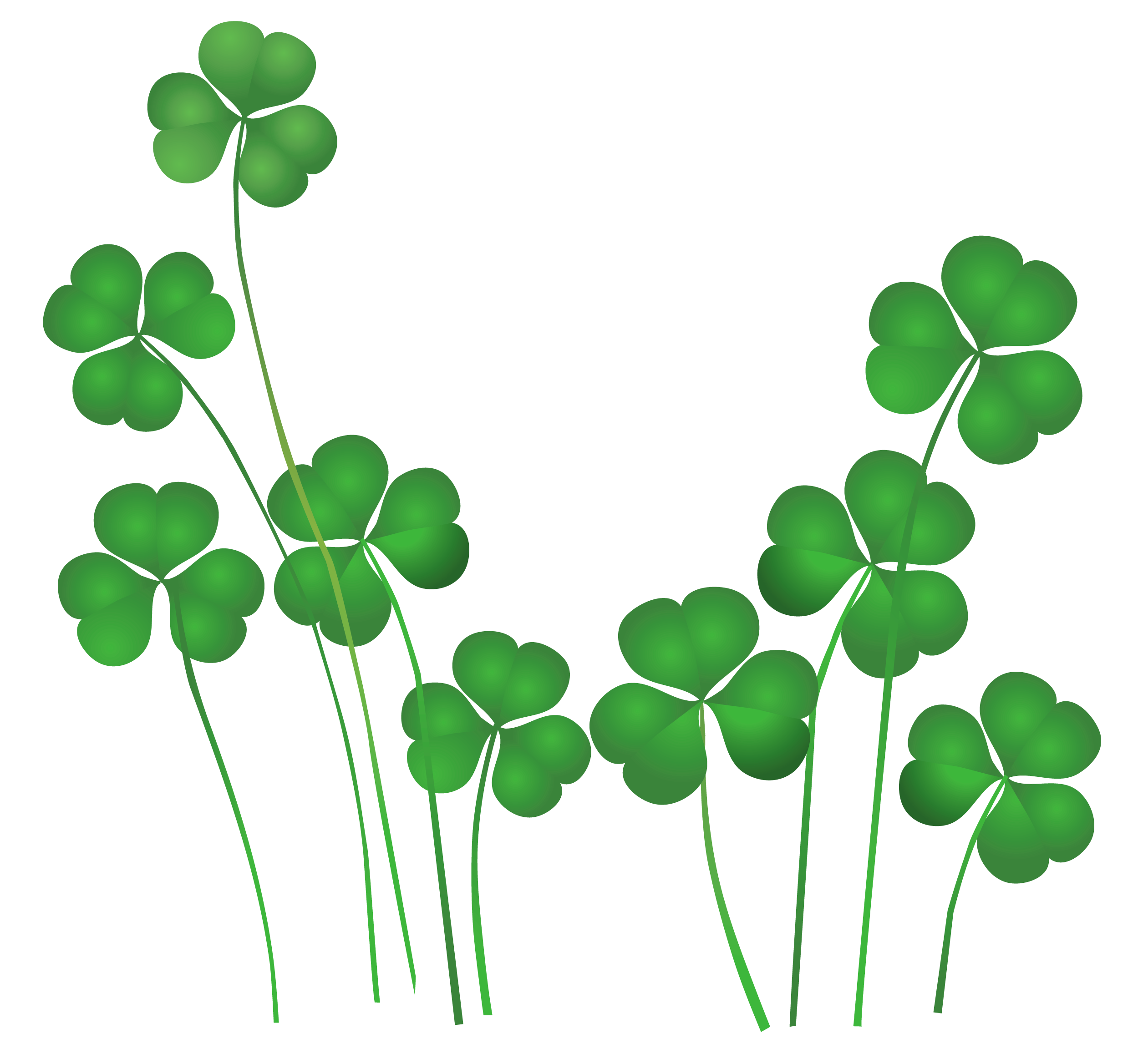 Detail Shamrock Png Nomer 29