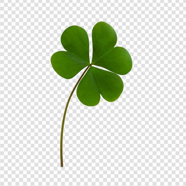 Detail Shamrock Png Transparent Nomer 23