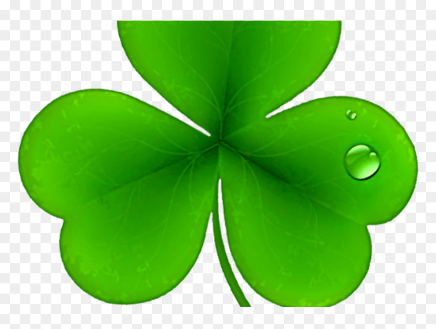 Detail Shamrock Png Transparent Nomer 51