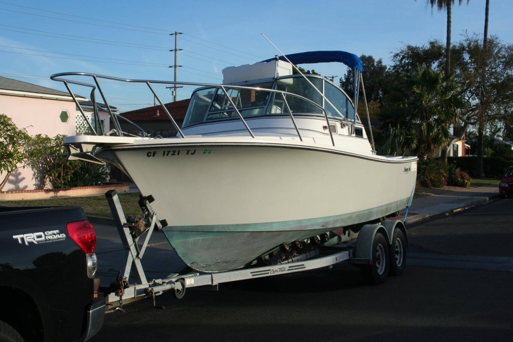 Detail Shamrock Predator Nomer 22