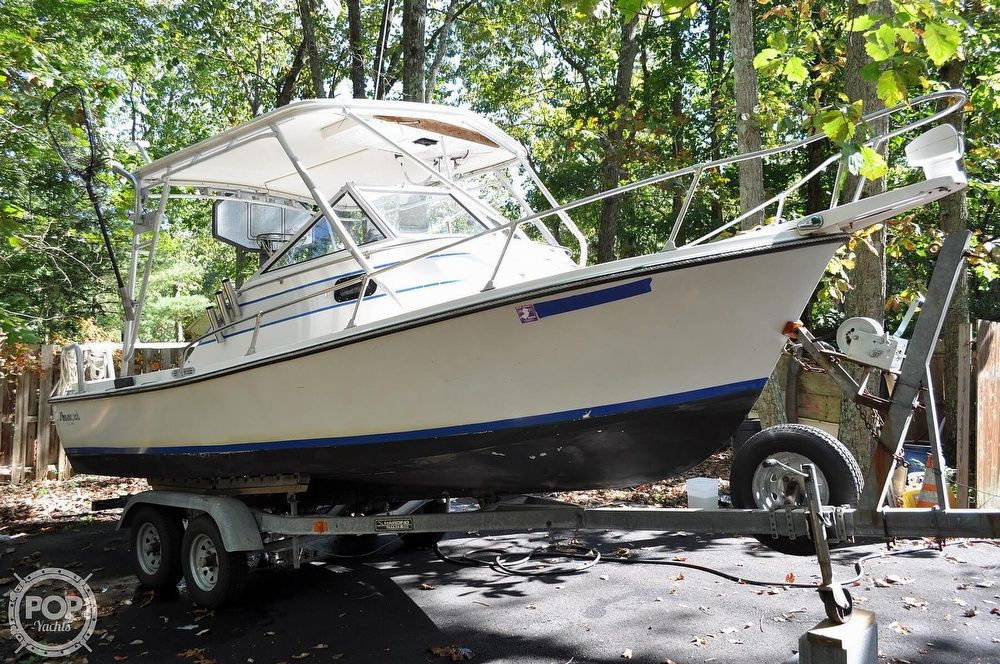 Detail Shamrock Predator Nomer 30