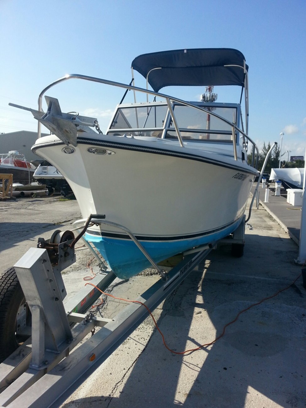 Detail Shamrock Predator Nomer 40