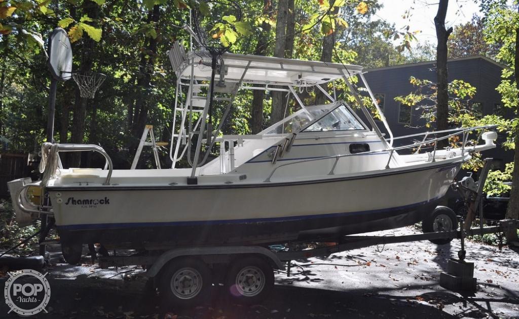 Detail Shamrock Predator Nomer 43