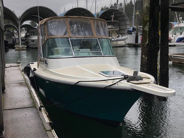 Detail Shamrock Predator Nomer 44