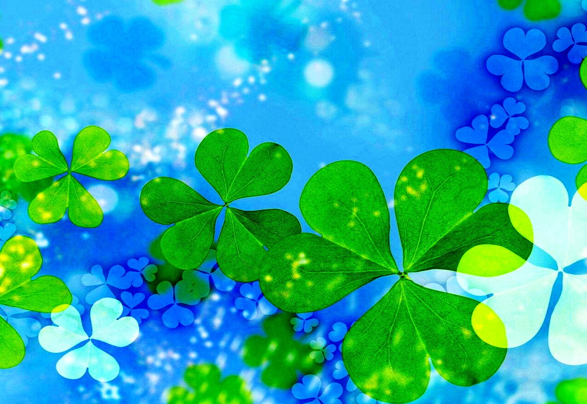 Detail Shamrock Wallpaper For Computer Nomer 49