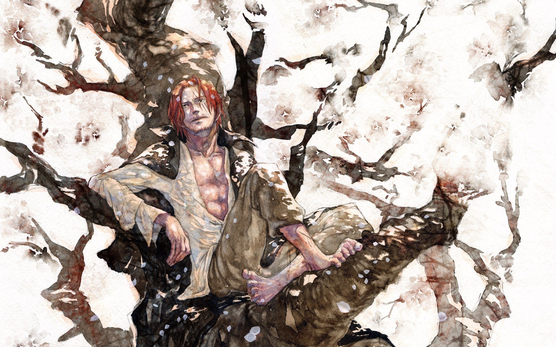 Detail Shanks Wallpaper Hd Nomer 58