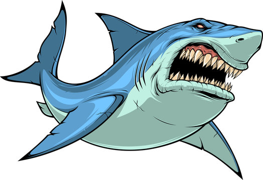 Detail Shark Cartoon Images Nomer 8