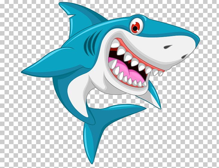 Detail Shark Cartoon Png Nomer 13