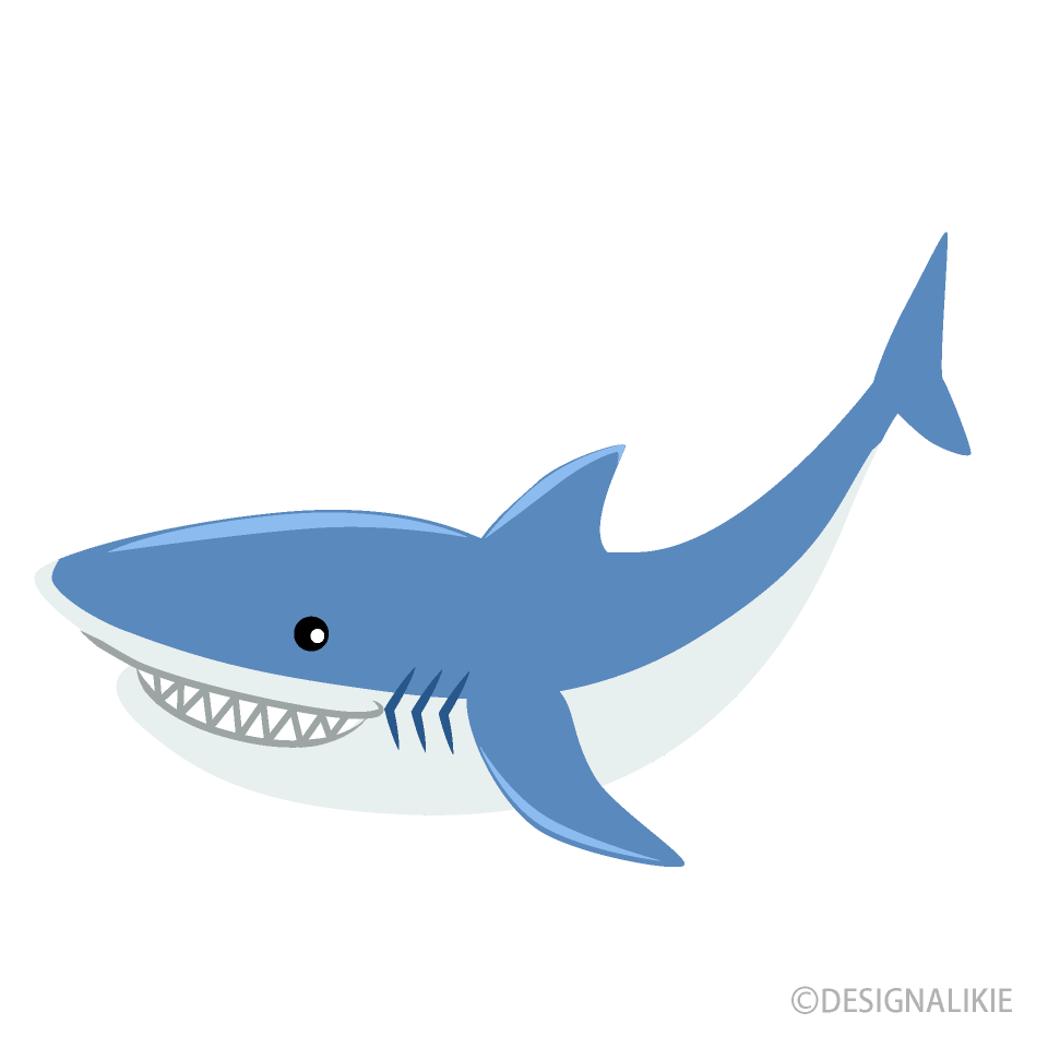 Detail Shark Cartoon Png Nomer 18