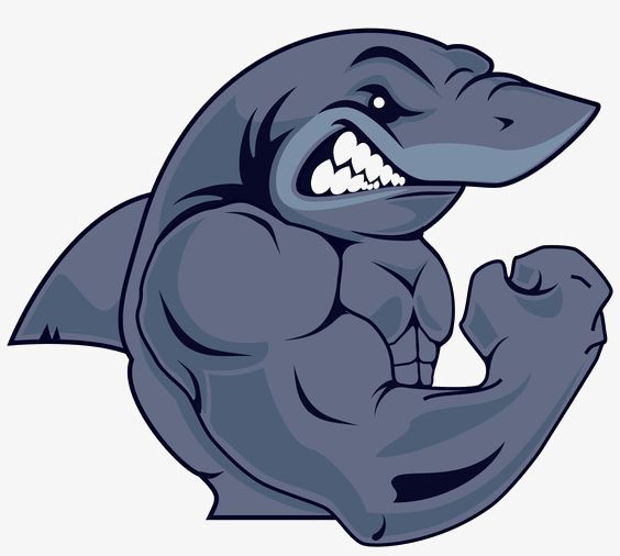 Detail Shark Cartoon Png Nomer 45