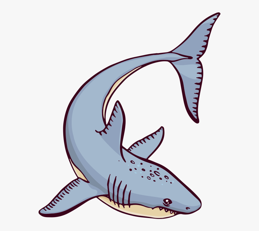 Detail Shark Cartoon Png Nomer 47