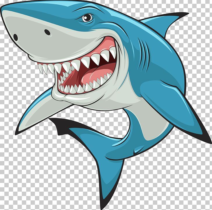 Detail Shark Cartoon Png Nomer 8