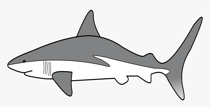 Detail Shark Clipart Nomer 20