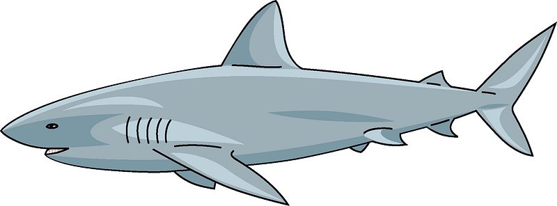 Detail Shark Clipart Nomer 27