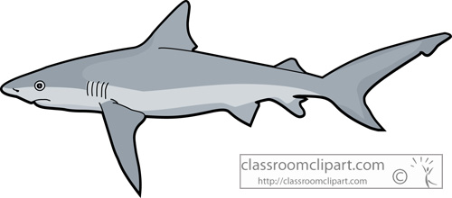 Detail Shark Clipart Nomer 45