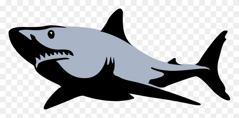 Detail Shark Clipart Nomer 48