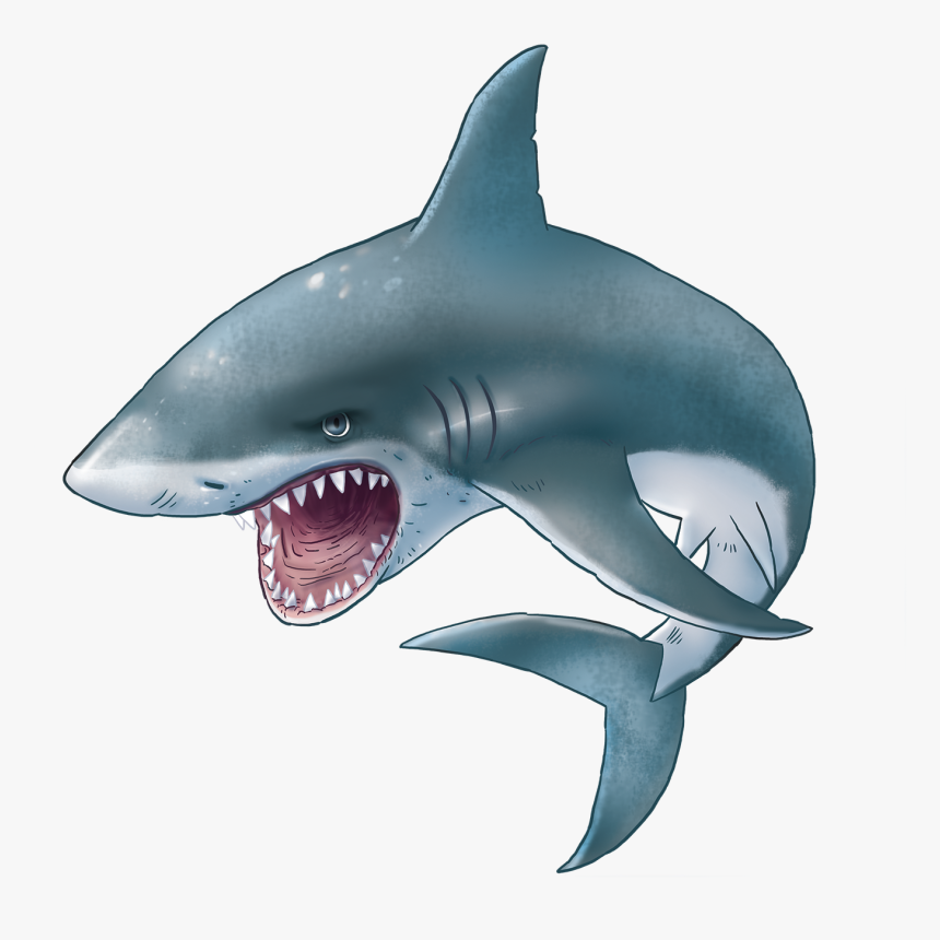 Detail Shark Clipart Png Nomer 31