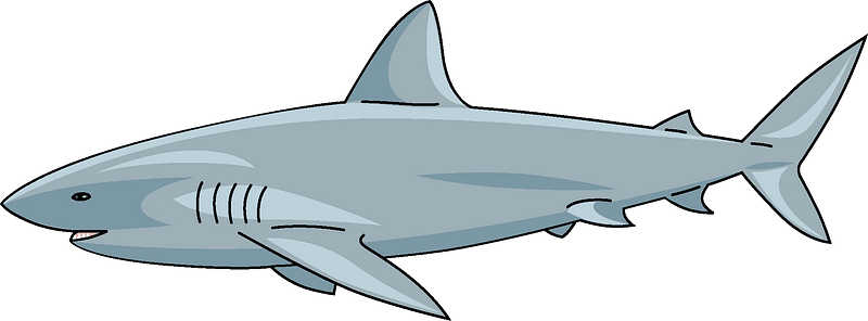 Detail Shark Clipart Transparent Nomer 39