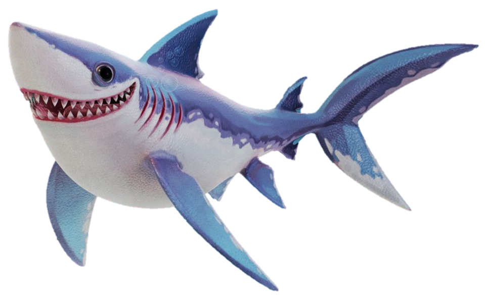 Detail Shark Download Nomer 14