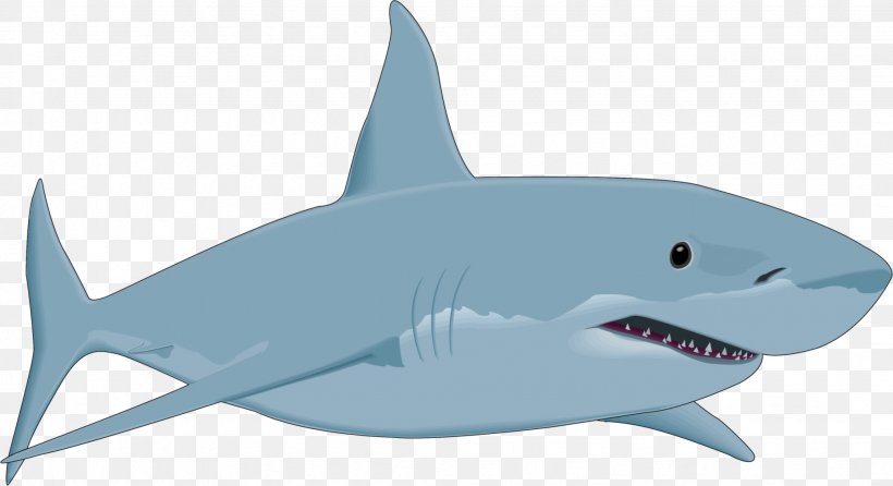 Detail Shark Download Nomer 3