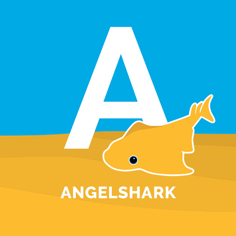 Detail Shark Download Nomer 34
