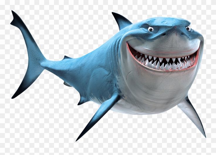 Detail Shark Download Nomer 47