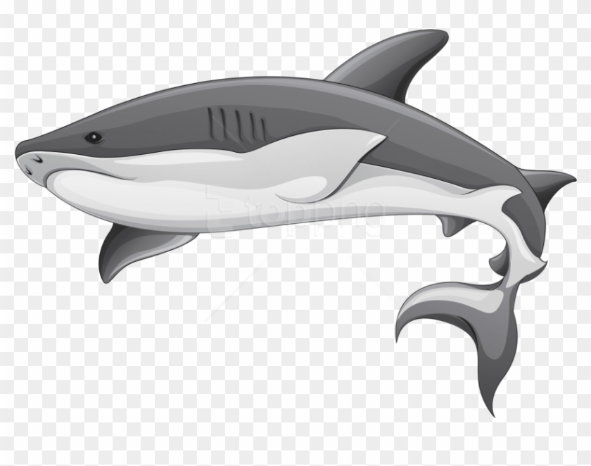 Detail Shark Download Nomer 8