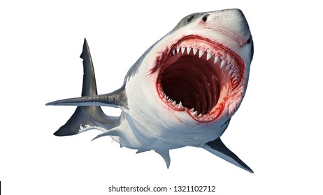 Detail Shark Images Nomer 20