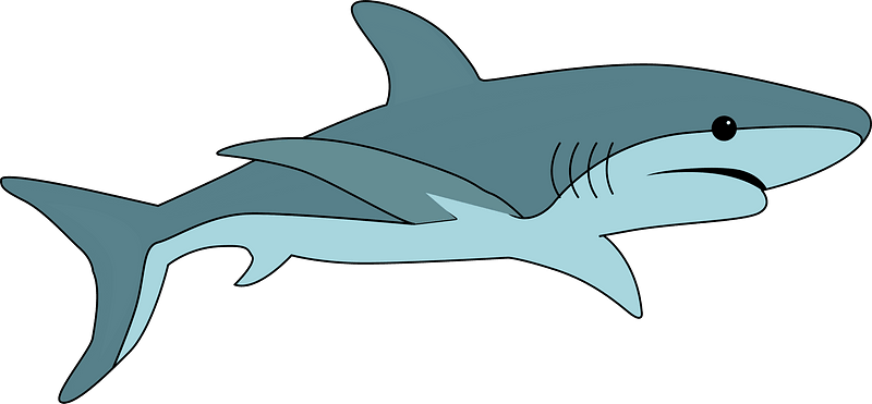 Detail Shark Images Clipart Nomer 15