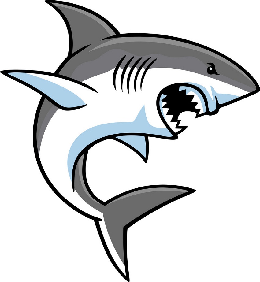 Detail Shark Images Clipart Nomer 19