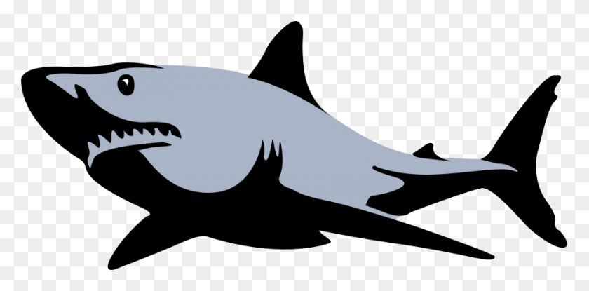 Detail Shark Images Clipart Nomer 28