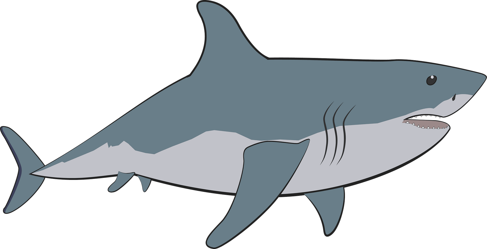 Detail Shark Images Clipart Nomer 38