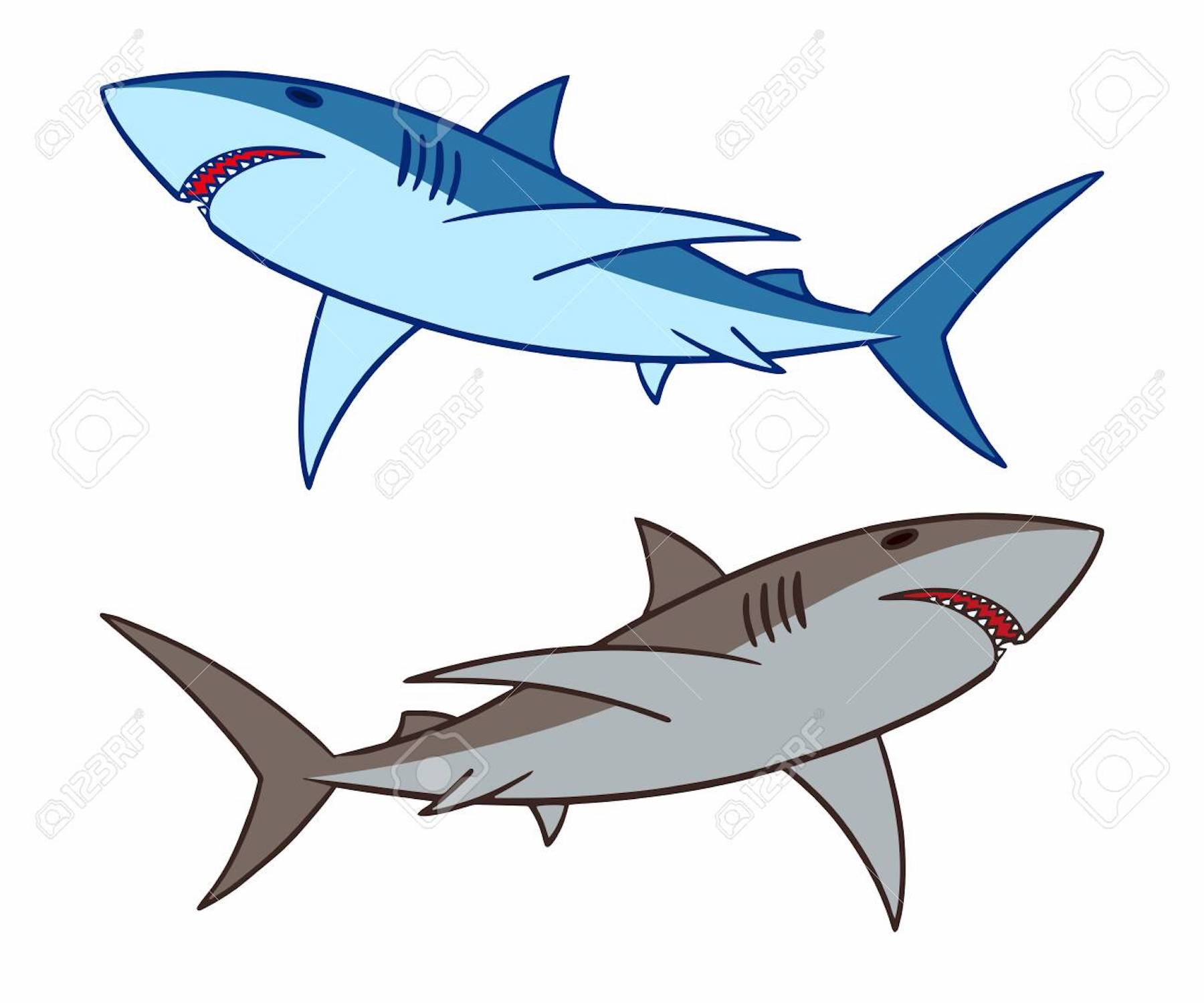 Detail Shark Images Clipart Nomer 49