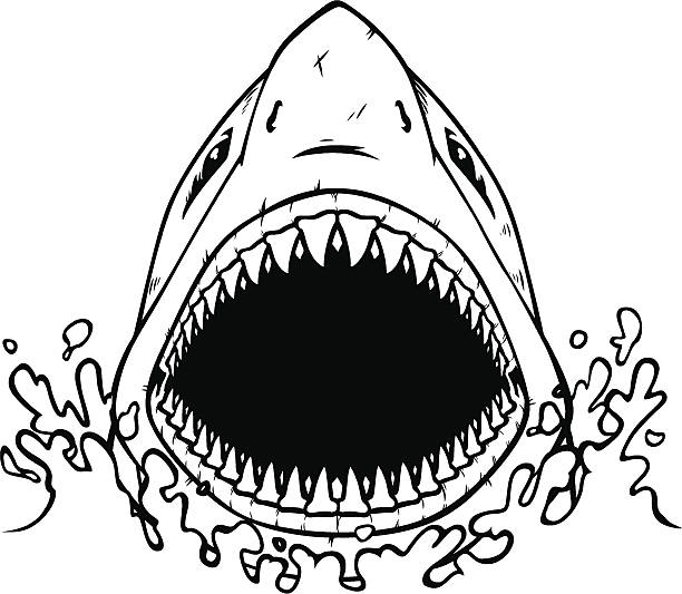 Detail Shark Mouth Clipart Nomer 28