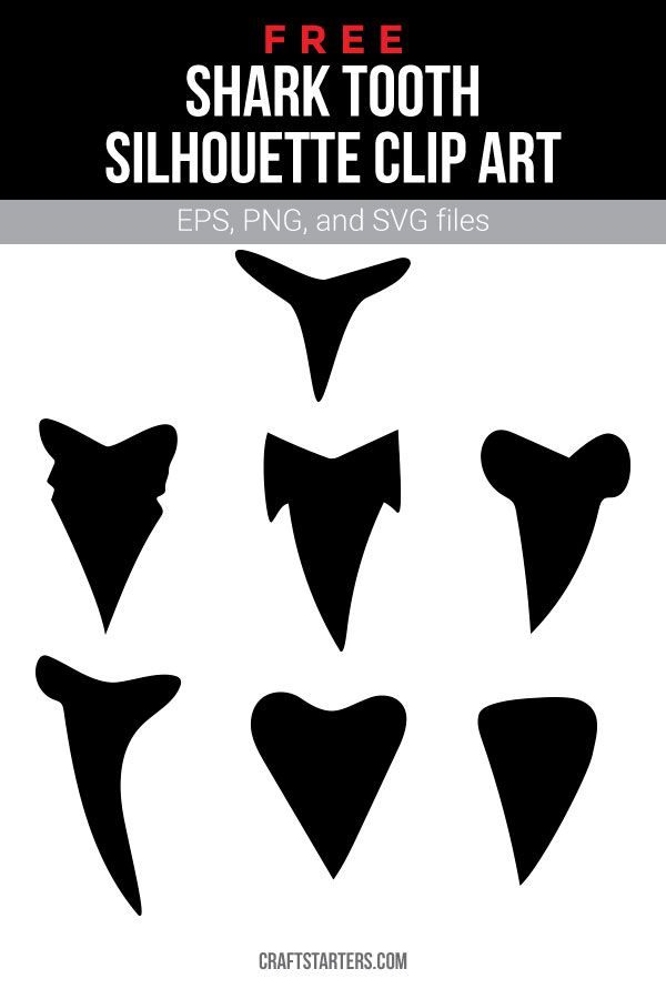 Detail Shark Teeth Clipart Nomer 13