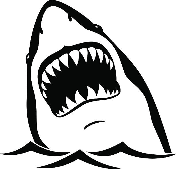Detail Shark Teeth Clipart Nomer 14