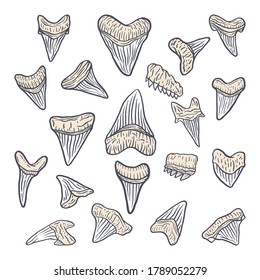 Detail Shark Teeth Clipart Nomer 16