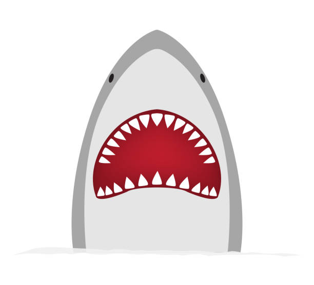 Detail Shark Teeth Clipart Nomer 3