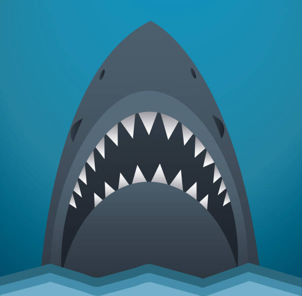 Detail Shark Teeth Clipart Nomer 24