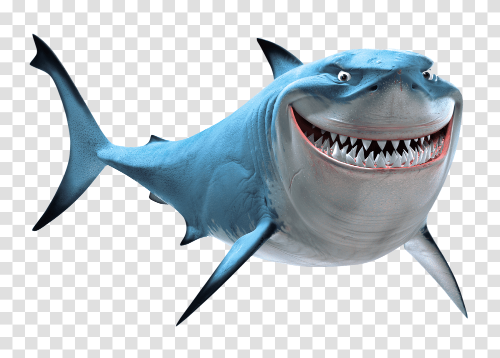 Detail Shark Teeth Clipart Nomer 32