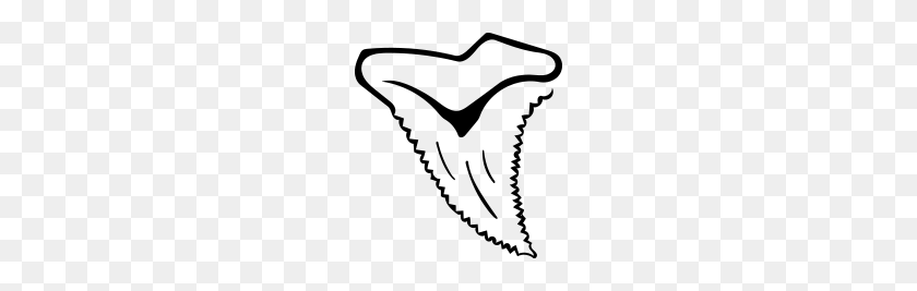Detail Shark Teeth Clipart Nomer 37