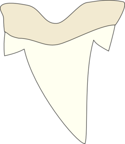 Detail Shark Teeth Clipart Nomer 7