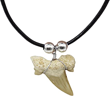 Detail Shark Tooth Mood Necklace Nomer 12