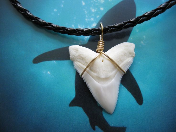 Detail Shark Tooth Mood Necklace Nomer 33