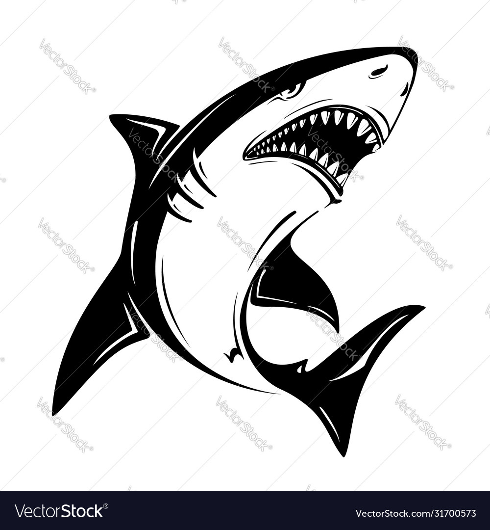 Detail Shark Vector Image Nomer 18