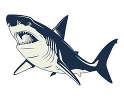 Detail Shark Vector Image Nomer 3