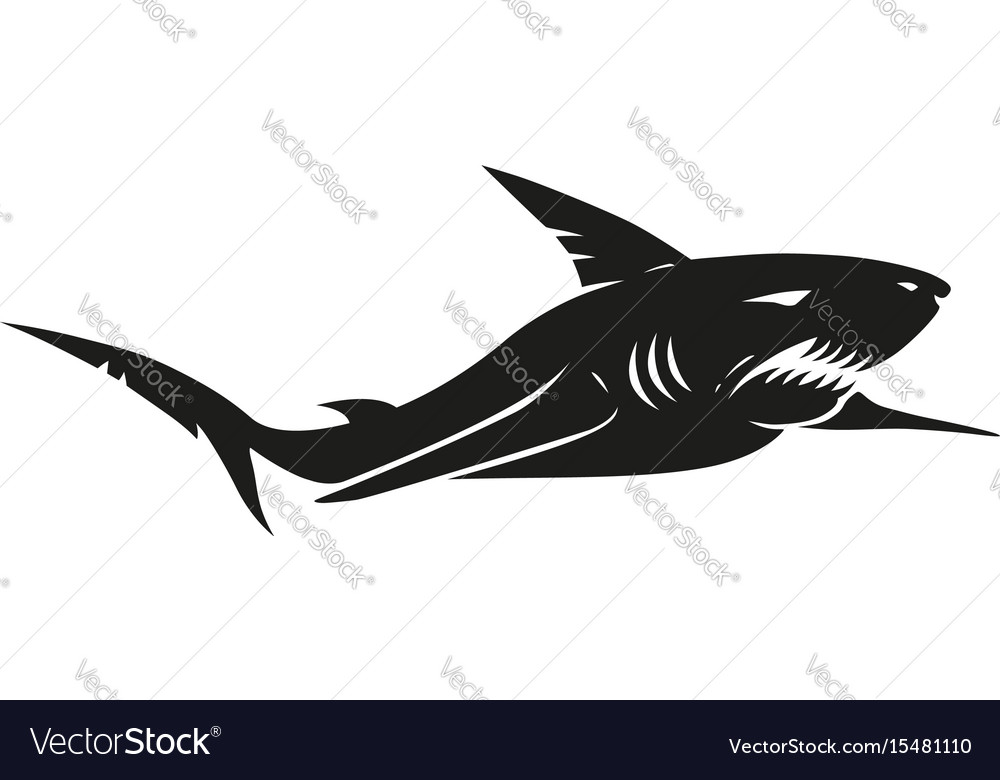 Detail Shark Vector Image Nomer 21