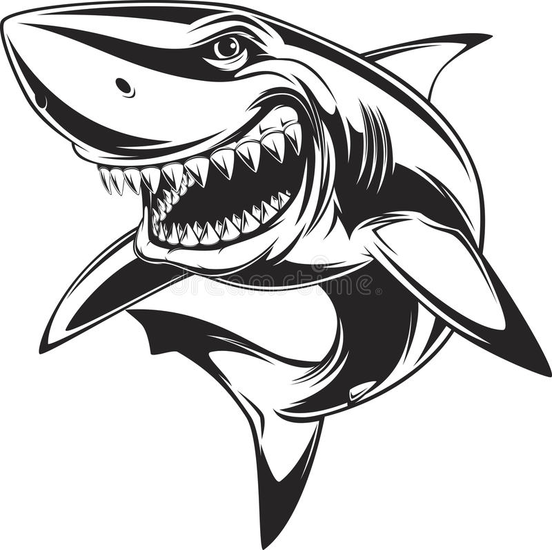 Detail Shark Vector Image Nomer 23